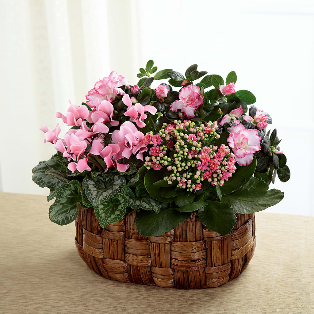 Pink Assortment – LANELLE'S FLORAL DESIGNS, Livonia LA