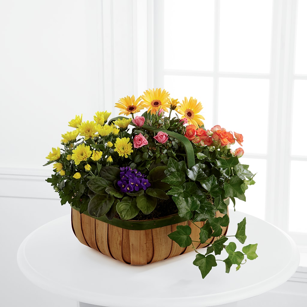 Gentle Blossoms Basket – LANELLE'S FLORAL DESIGNS, Livonia LA