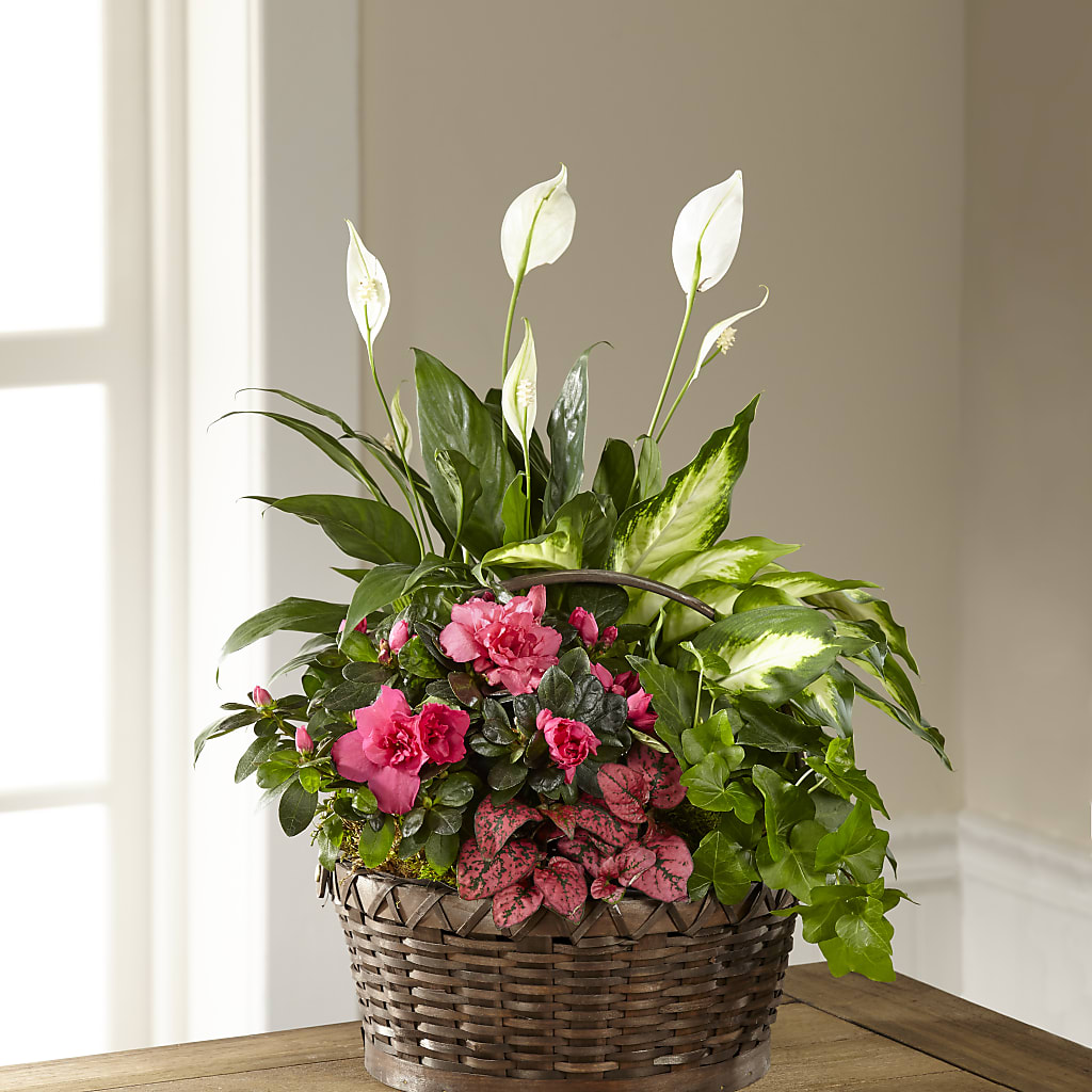 Dream in Pink Dishgarden – LANELLE'S FLORAL DESIGNS, Livonia LA