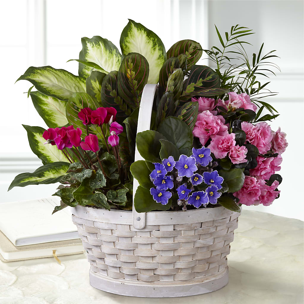 Peaceful Garden Planter – LANELLE'S FLORAL DESIGNS, Livonia LA