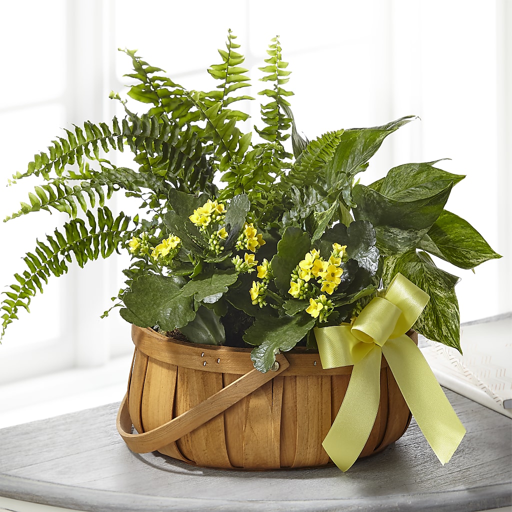Always Dear Dishgarden – LANELLE'S FLORAL DESIGNS, Livonia LA
