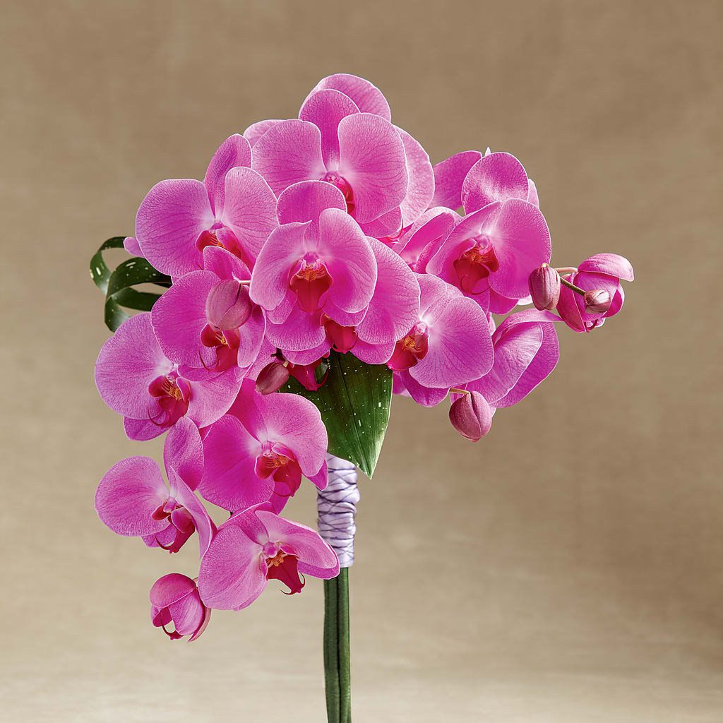 Glorious Bouquet – LANELLE'S FLORAL DESIGNS, Livonia LA