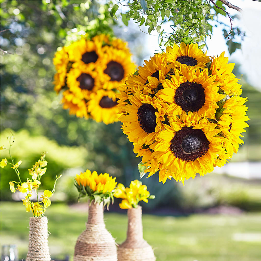 Sublime Garden Hanging Arrangement – LANELLE'S FLORAL DESIGNS, Livonia LA
