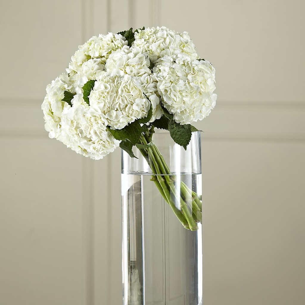 White Hydrangea Hand-Tied Bouquet – LANELLE'S FLORAL DESIGNS, Livonia LA