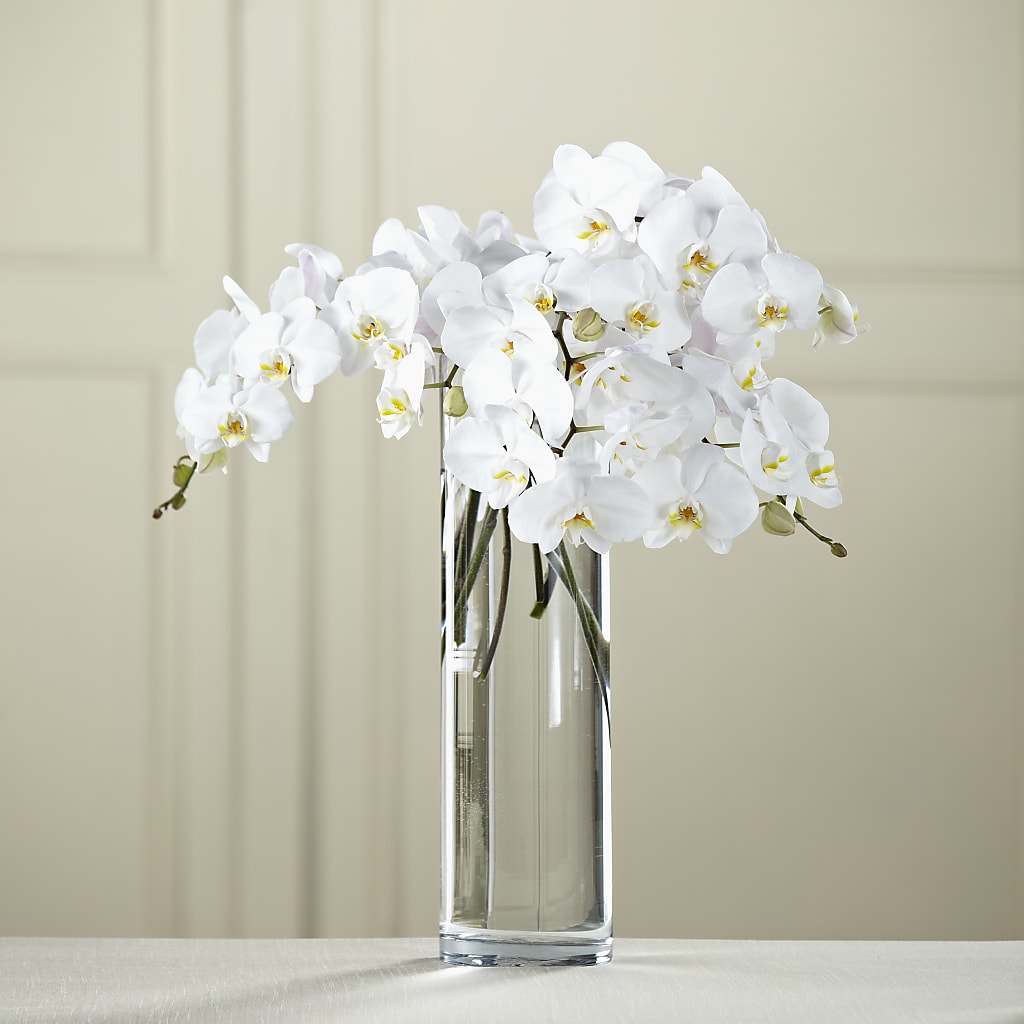 White Phalaenopsis Bouquet – LANELLE'S FLORAL DESIGNS, Livonia LA