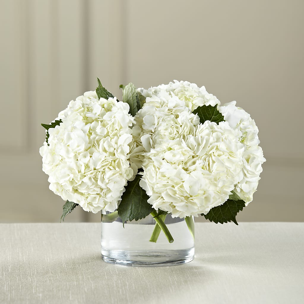 White Hydrangea Bouquet – LANELLE'S FLORAL DESIGNS, Livonia LA