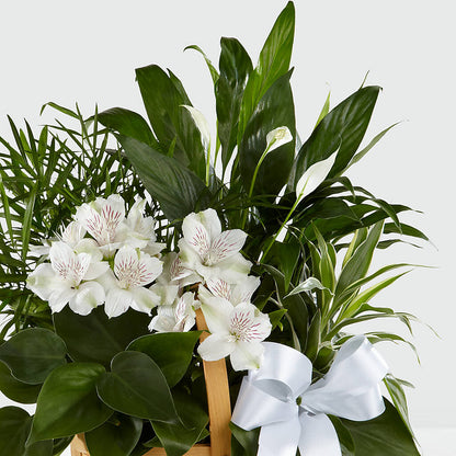 Peace & Serenity Dishgarden – LANELLE'S FLORAL DESIGNS, Livonia LA