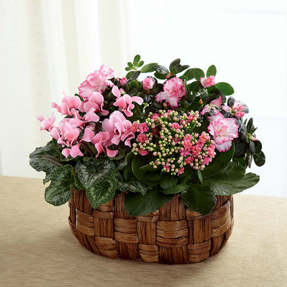 Pink Assortment – LANELLE'S FLORAL DESIGNS, Livonia LA
