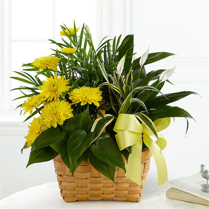 Loving Light Dishgarden – LANELLE'S FLORAL DESIGNS, Livonia LA