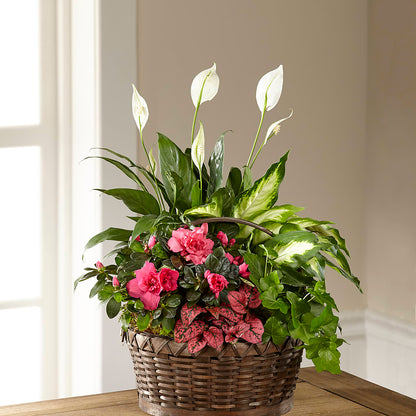 Dream in Pink Dishgarden – LANELLE'S FLORAL DESIGNS, Livonia LA