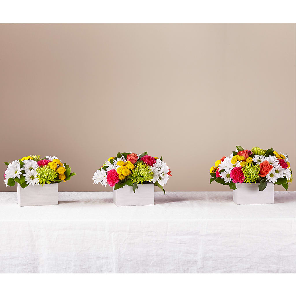 Sorbet Bouquet – LANELLE'S FLORAL DESIGNS, Livonia LA