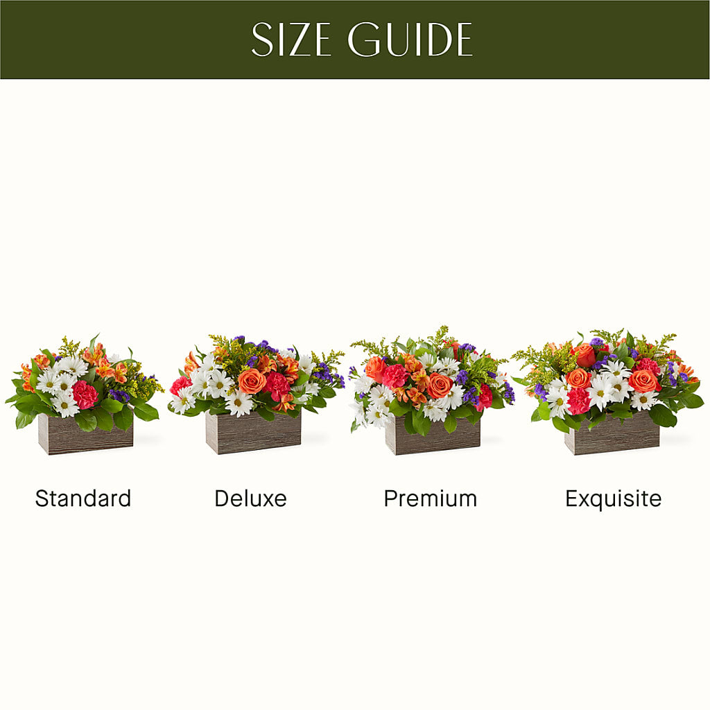 Oopsie Daisy Box Bouquet – LANELLE'S FLORAL DESIGNS, Livonia LA