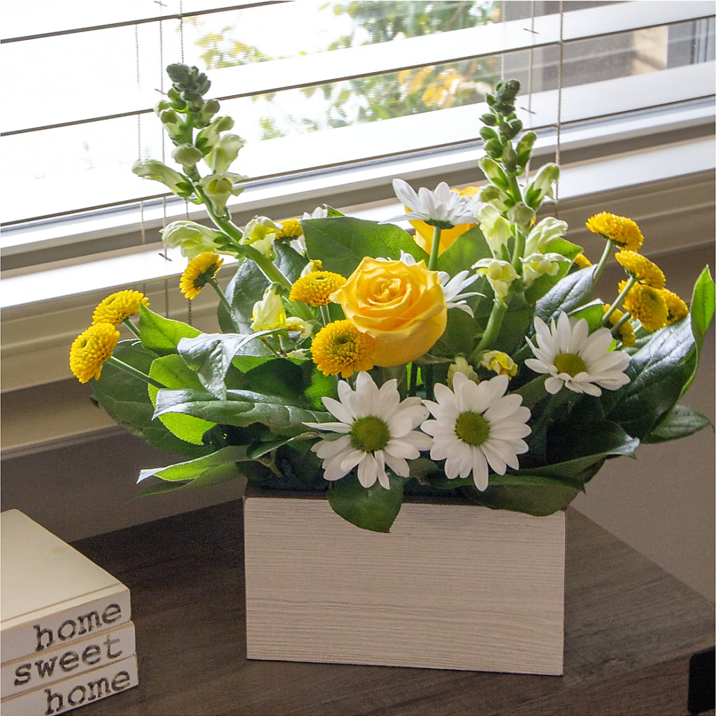 Sun Salutation Box Bouquet – LANELLE'S FLORAL DESIGNS, Livonia LA
