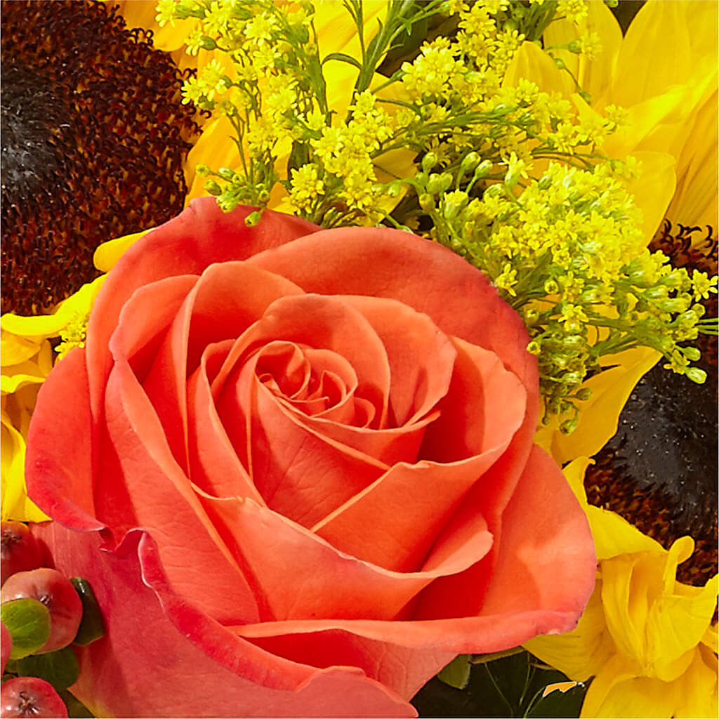 Pick of the Patch Pumpkin Bouquet – LANELLE'S FLORAL DESIGNS, Livonia LA