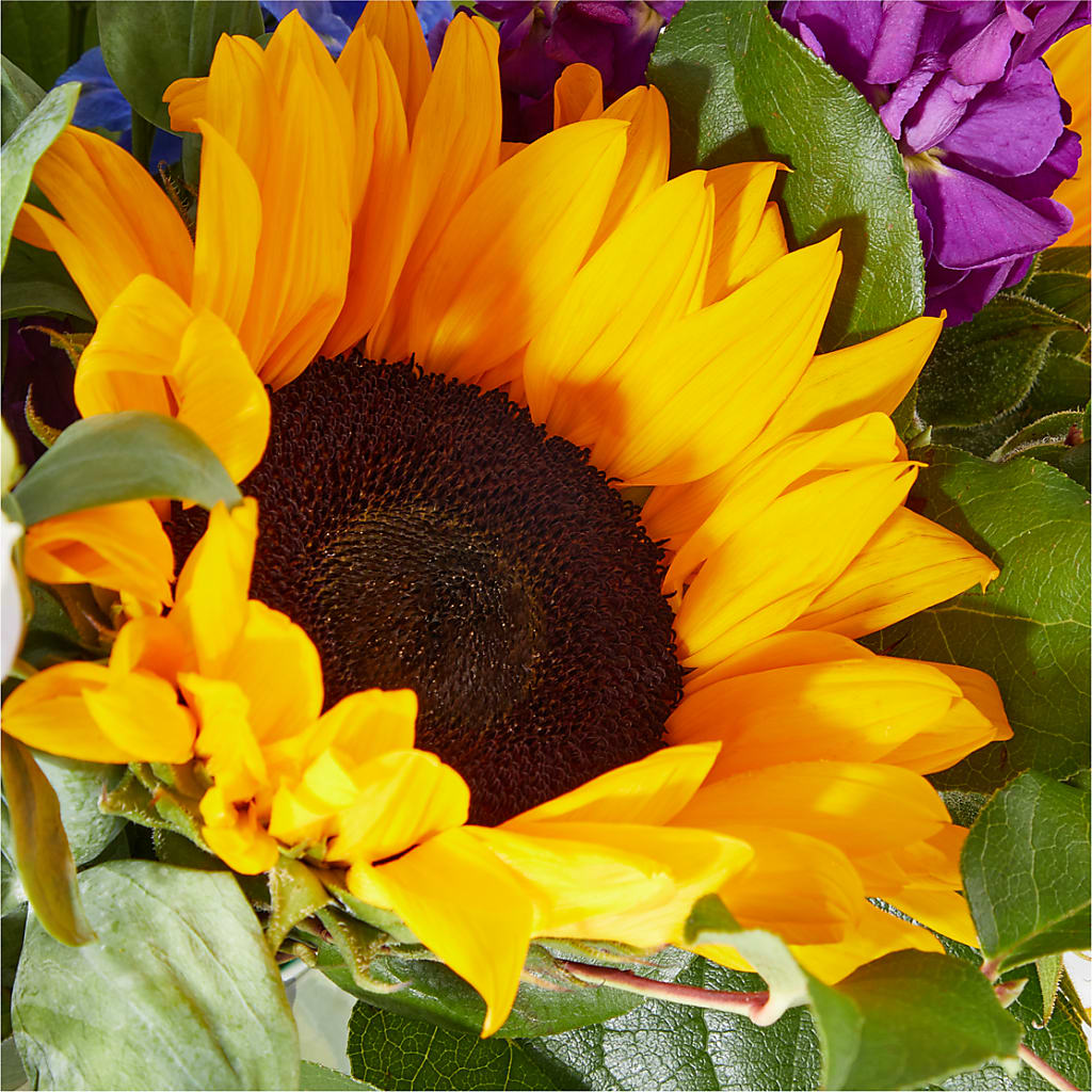 Catching Rays Bouquet – LANELLE'S FLORAL DESIGNS, Livonia LA