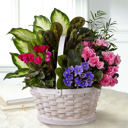 Peaceful Garden Planter – LANELLE'S FLORAL DESIGNS, Livonia LA