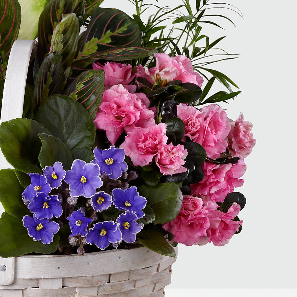 Peaceful Garden Planter – LANELLE'S FLORAL DESIGNS, Livonia LA
