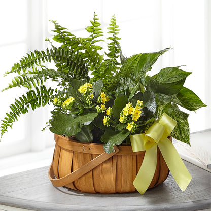 Always Dear Dishgarden – LANELLE'S FLORAL DESIGNS, Livonia LA