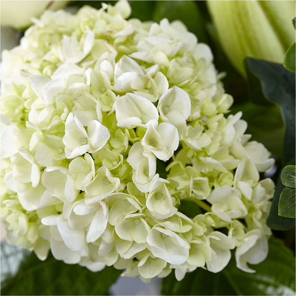 Classic Ivory – A Florist Original – LANELLE'S FLORAL DESIGNS, Livonia LA