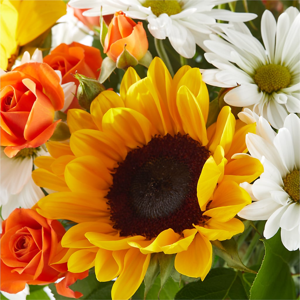 Sun-drenched Blooms Bouquet – LANELLE'S FLORAL DESIGNS, Livonia LA