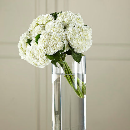 White Hydrangea Hand-Tied Bouquet – LANELLE'S FLORAL DESIGNS, Livonia LA