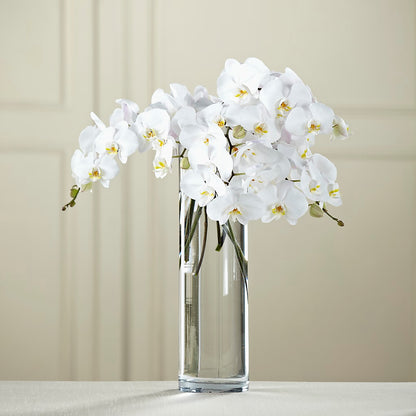 White Phalaenopsis Bouquet – LANELLE'S FLORAL DESIGNS, Livonia LA